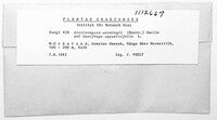 Image Associated With the Occurrence